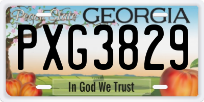 GA license plate PXG3829
