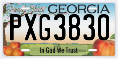 GA license plate PXG3830