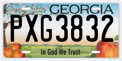 GA license plate PXG3832