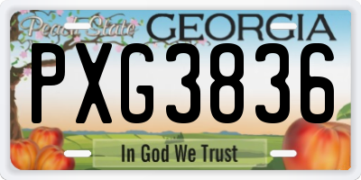 GA license plate PXG3836