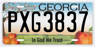 GA license plate PXG3837