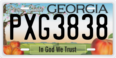 GA license plate PXG3838