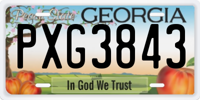 GA license plate PXG3843