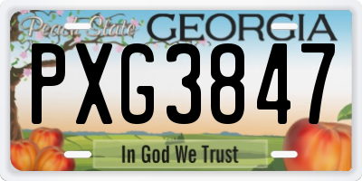 GA license plate PXG3847