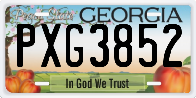 GA license plate PXG3852