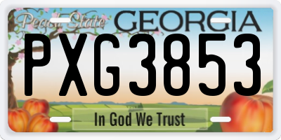 GA license plate PXG3853