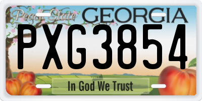 GA license plate PXG3854