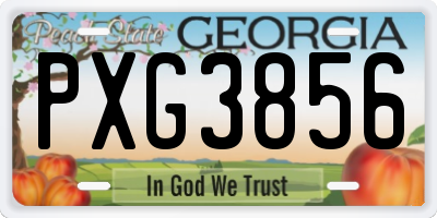 GA license plate PXG3856