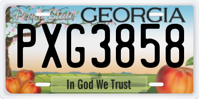 GA license plate PXG3858