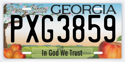 GA license plate PXG3859