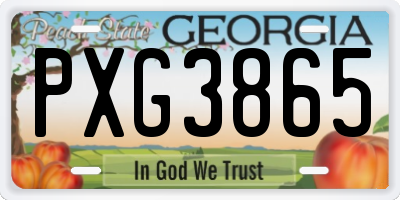 GA license plate PXG3865