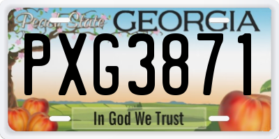 GA license plate PXG3871