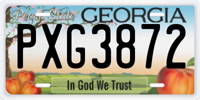 GA license plate PXG3872
