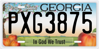 GA license plate PXG3875