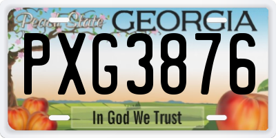 GA license plate PXG3876