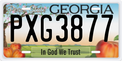 GA license plate PXG3877