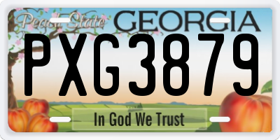 GA license plate PXG3879