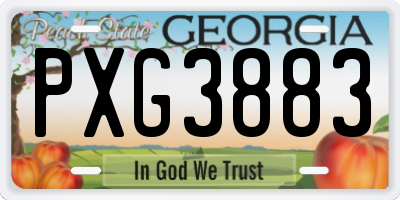 GA license plate PXG3883