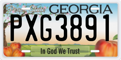 GA license plate PXG3891