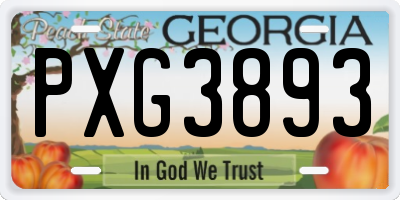 GA license plate PXG3893