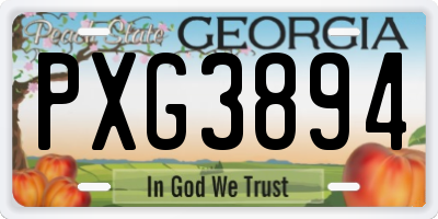 GA license plate PXG3894