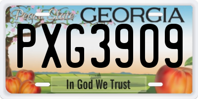 GA license plate PXG3909