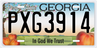 GA license plate PXG3914