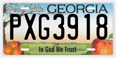 GA license plate PXG3918