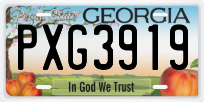 GA license plate PXG3919