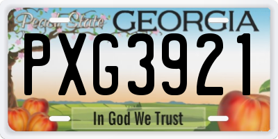 GA license plate PXG3921