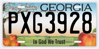 GA license plate PXG3928