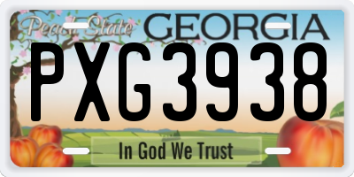 GA license plate PXG3938