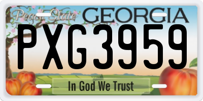 GA license plate PXG3959