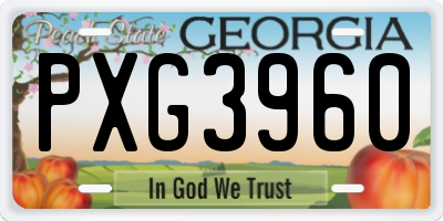 GA license plate PXG3960