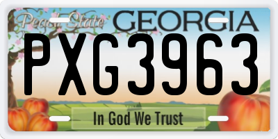 GA license plate PXG3963