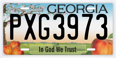GA license plate PXG3973