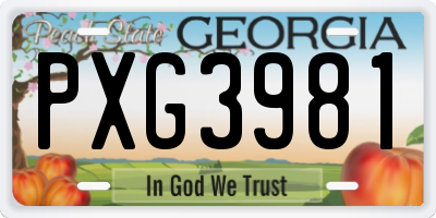 GA license plate PXG3981