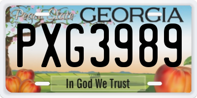 GA license plate PXG3989