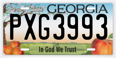 GA license plate PXG3993