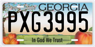 GA license plate PXG3995