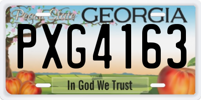 GA license plate PXG4163