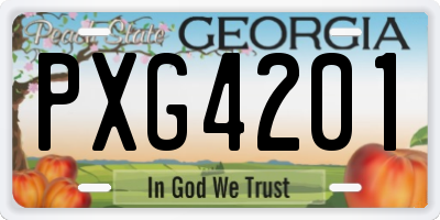GA license plate PXG4201