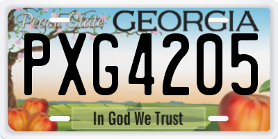 GA license plate PXG4205