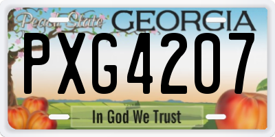 GA license plate PXG4207