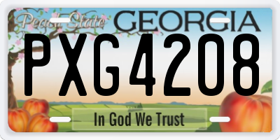 GA license plate PXG4208