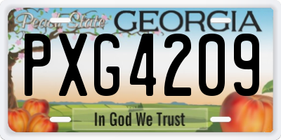 GA license plate PXG4209