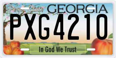 GA license plate PXG4210