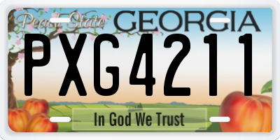 GA license plate PXG4211