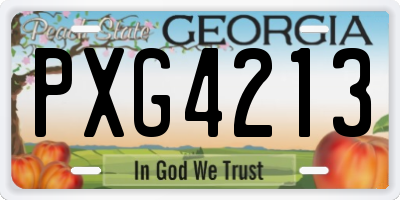 GA license plate PXG4213