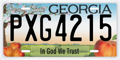 GA license plate PXG4215